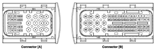 G13563306