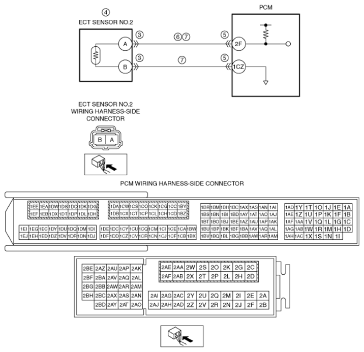 G13569204