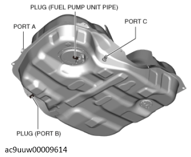 G13569848