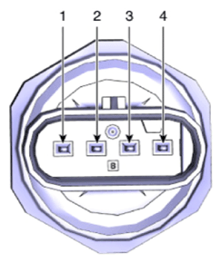 G13576096