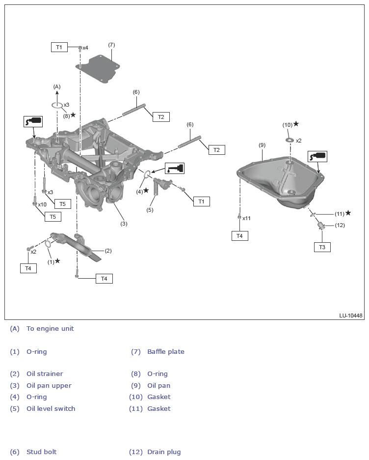 G13619361