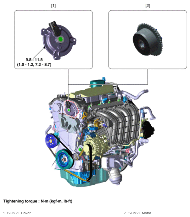G13661098