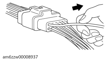 G13671054
