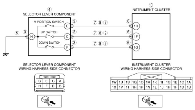 G13699482