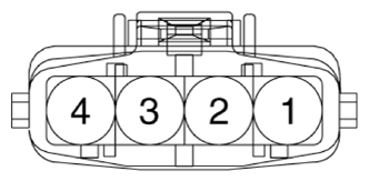 G13704634