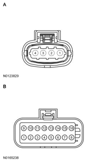G13711696