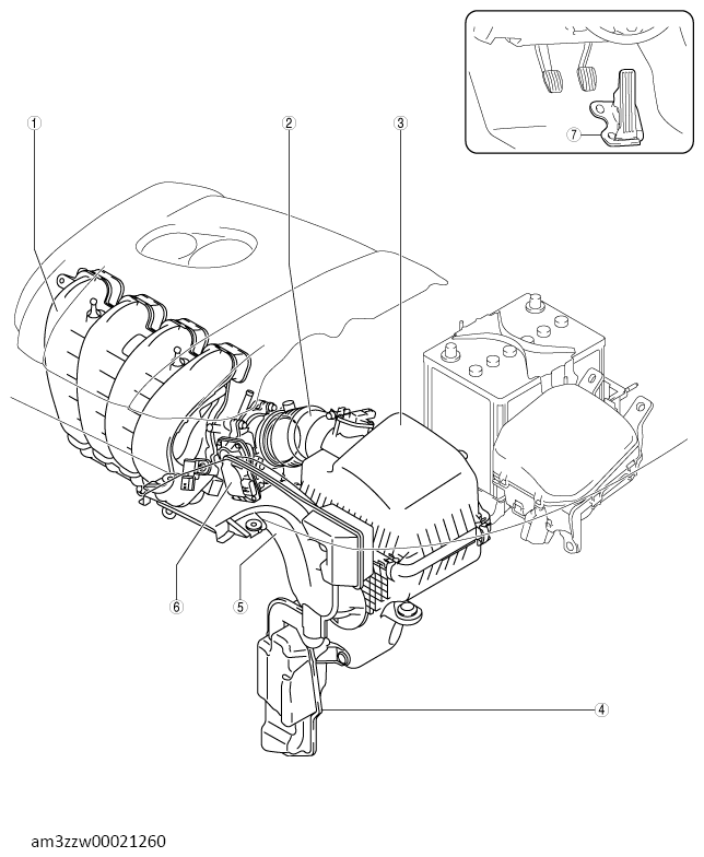 G13713475
