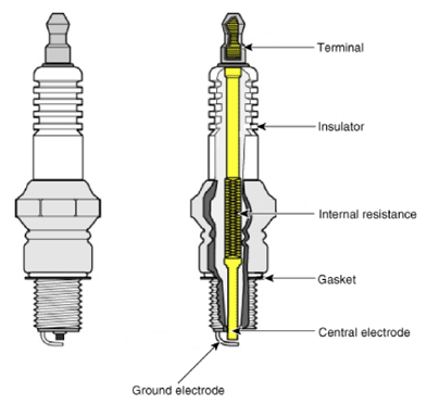G13833667