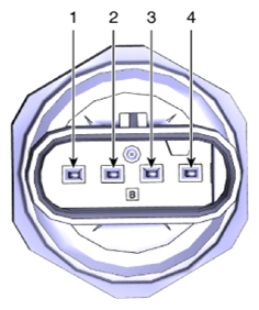 G13833981
