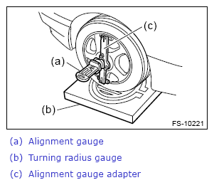 G13868497