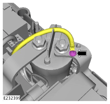 G13923536