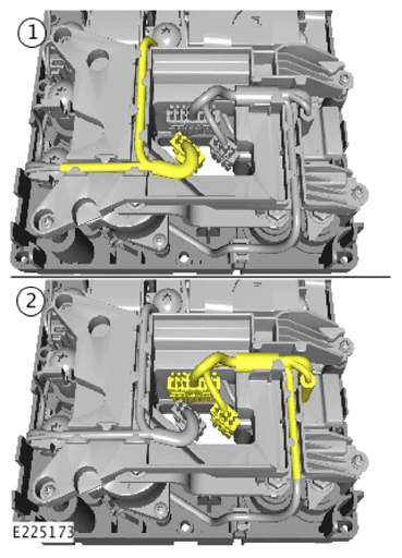G13923538