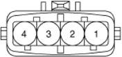 G14175584