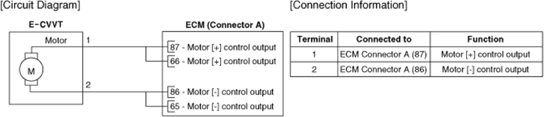 G14175674