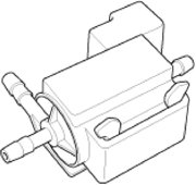 G14175681