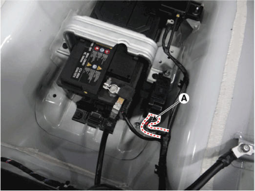 G14175729