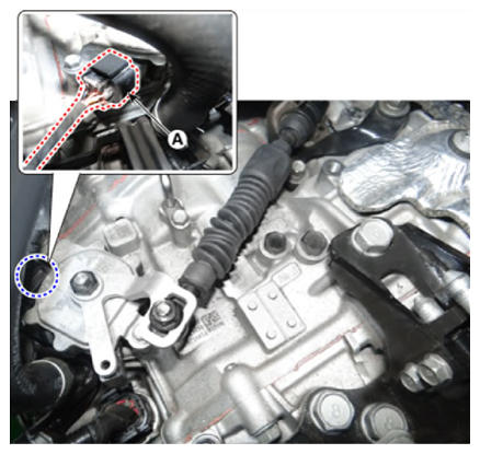 G14564559
