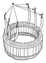 G14728428