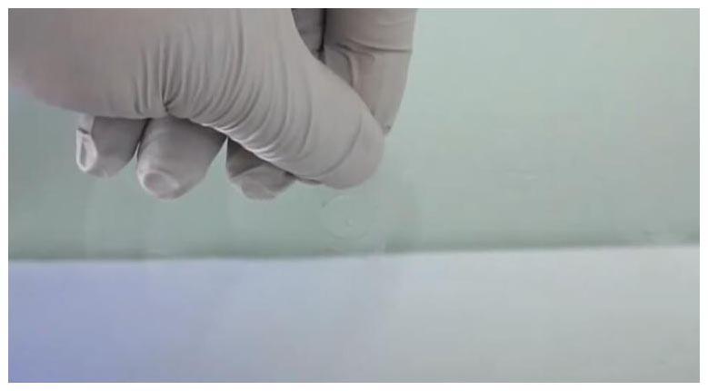 G14974954