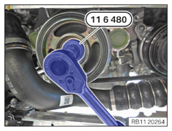 G15168076