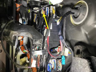 G15437445