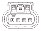 G15547405