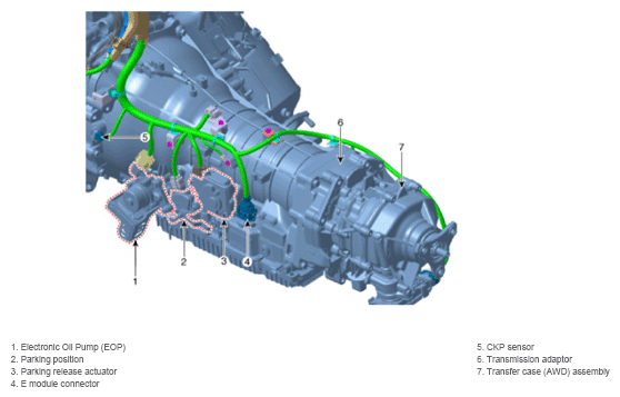 G15547938