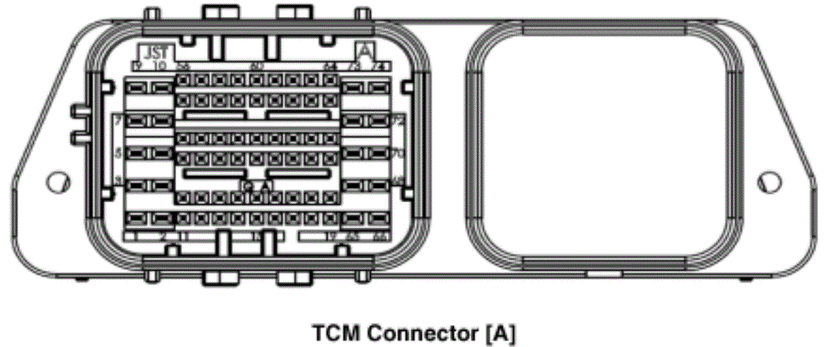 G15548137