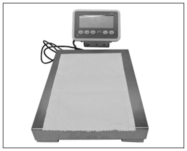 G15551399