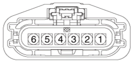 G15556958