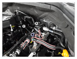 G15557088