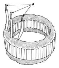 G15694356
