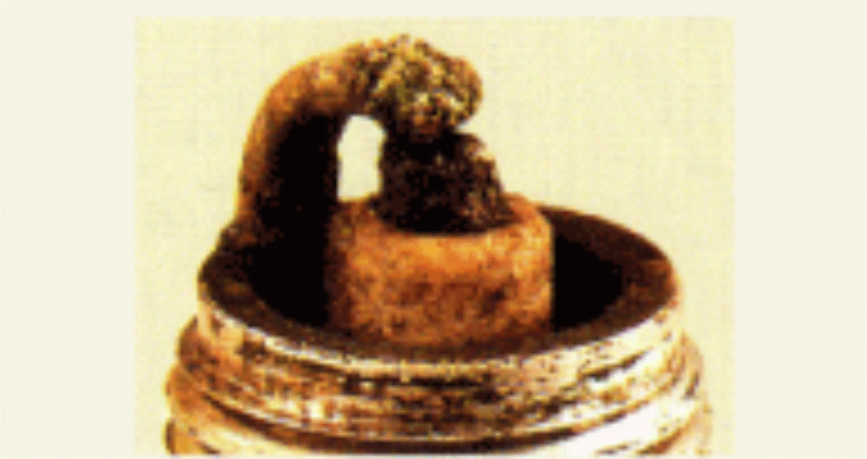G15694378