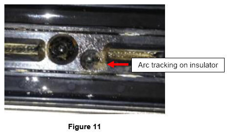 G16239562