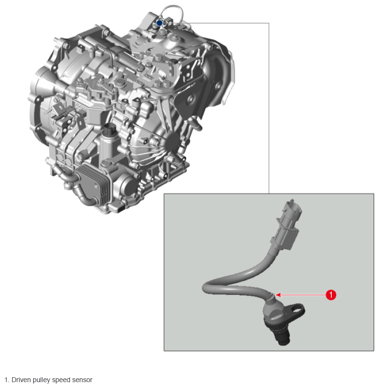 G16543557