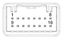 G16832596