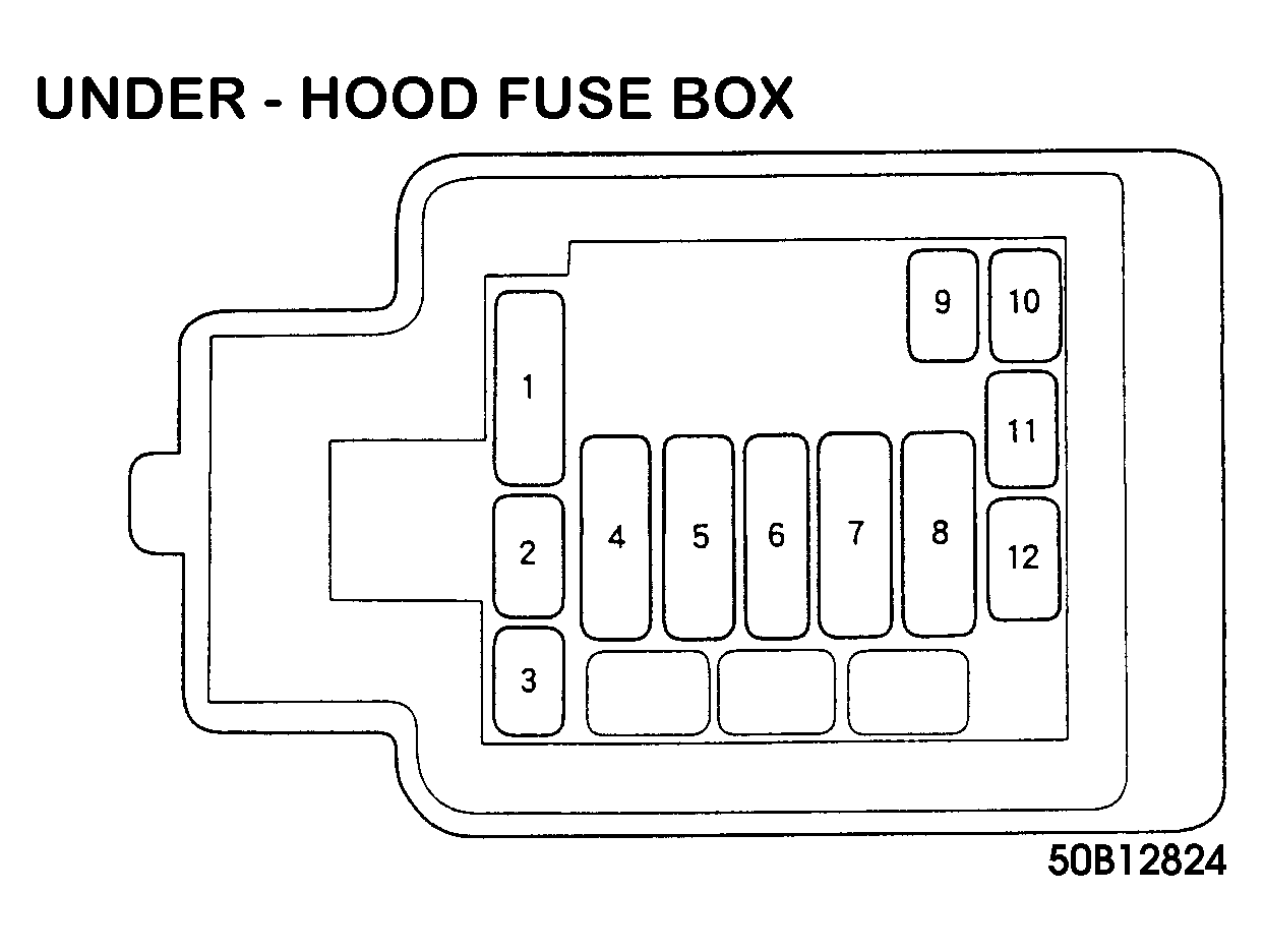 G50B12824
