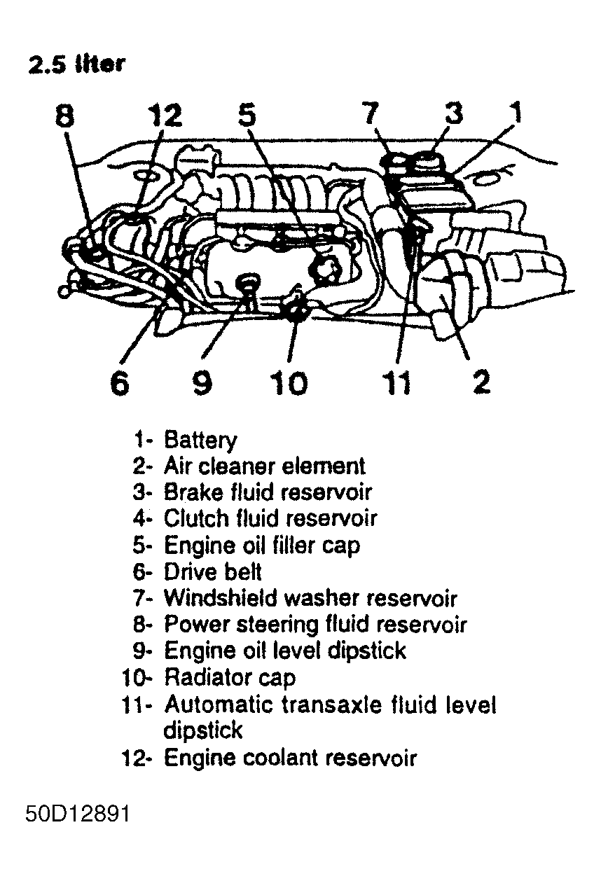 G50D12891