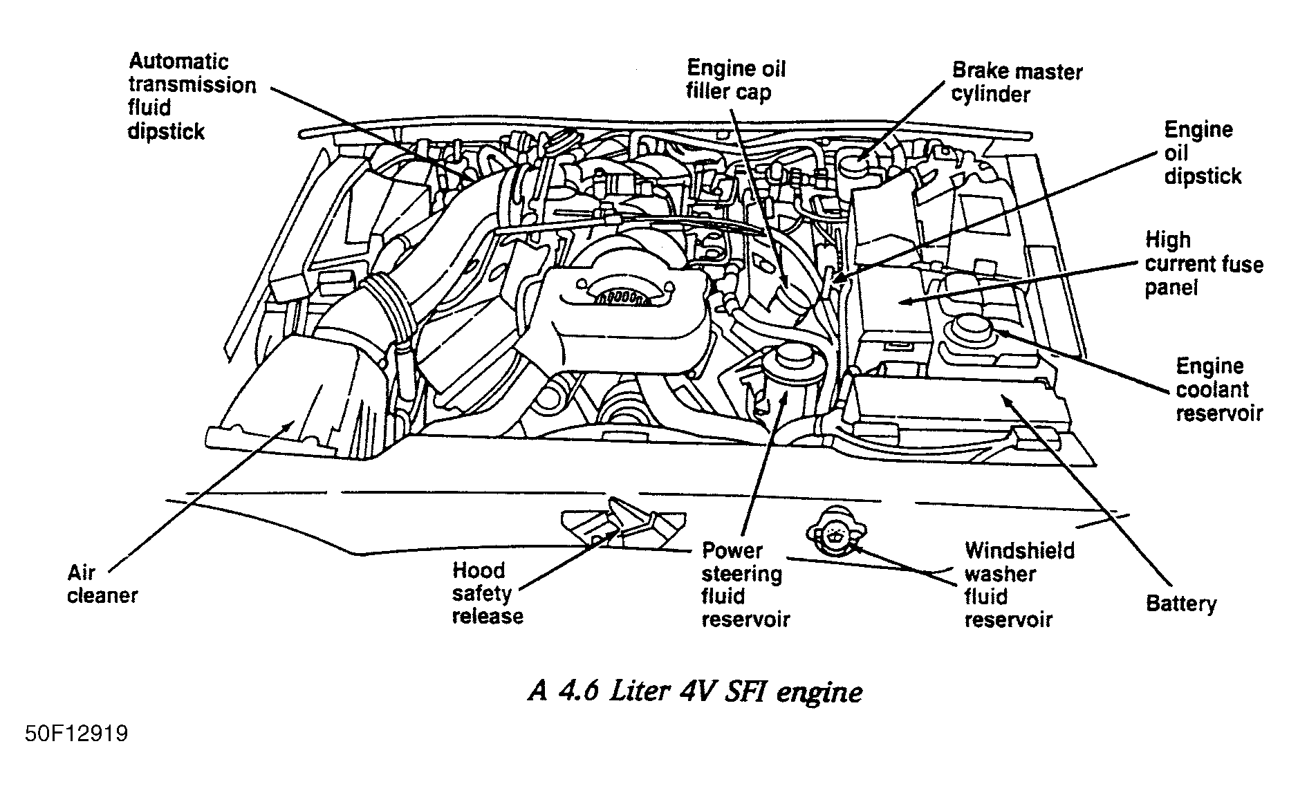 G50F12919