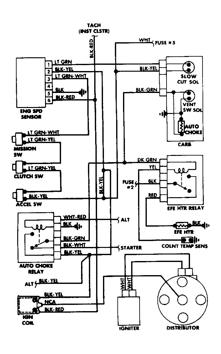 G61562