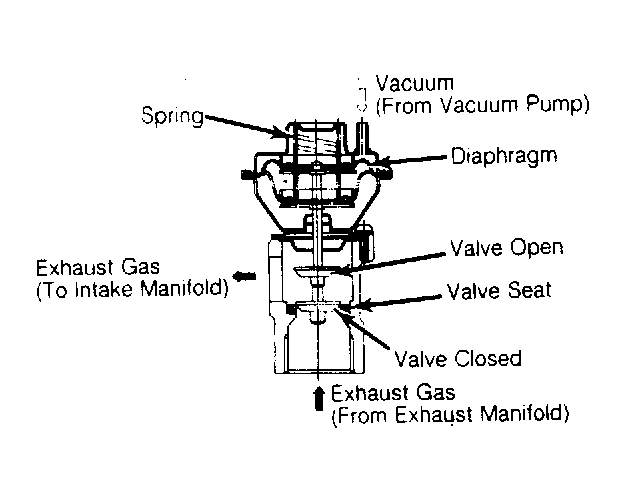G65691