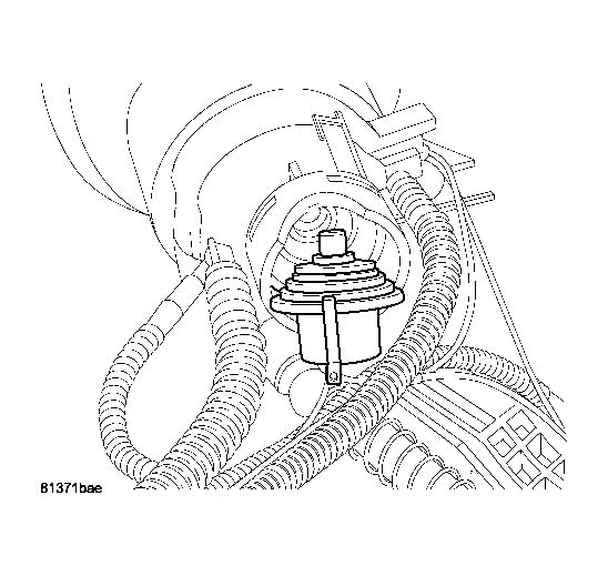 GC0013061