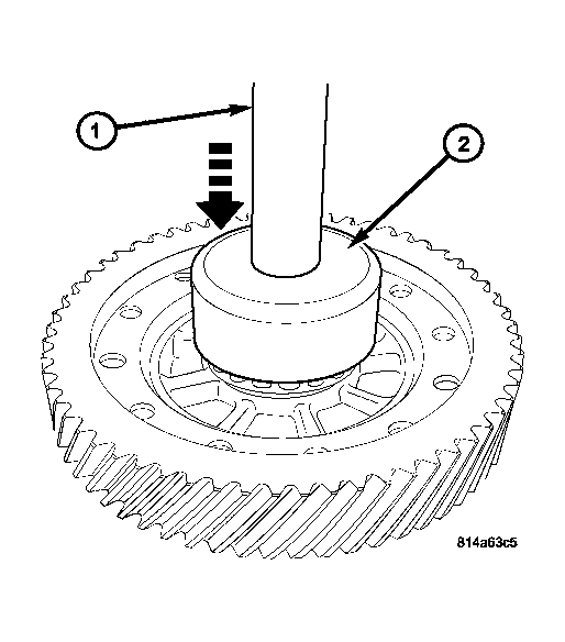 GC0020590