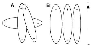 GC0167201