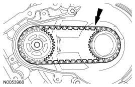 GF0031781