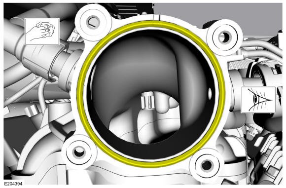GFD525969