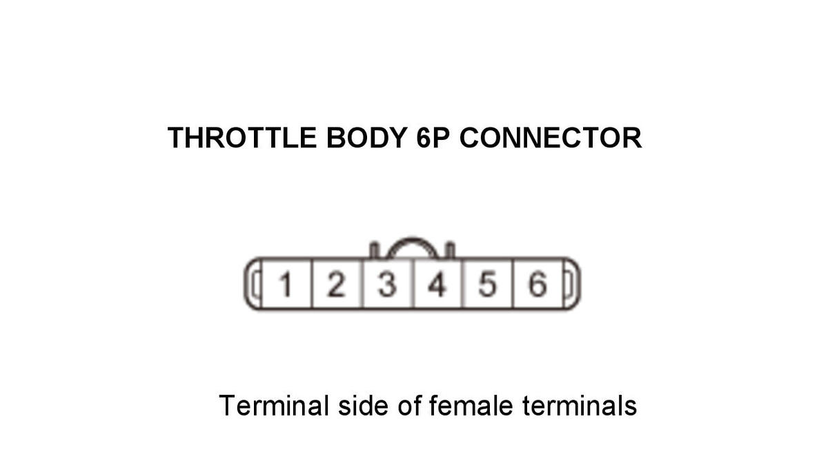 GHH434471