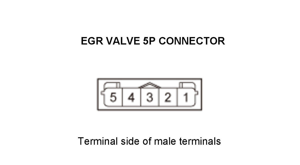 GHH434579