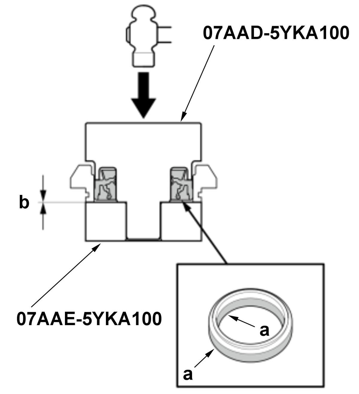 GHH558156