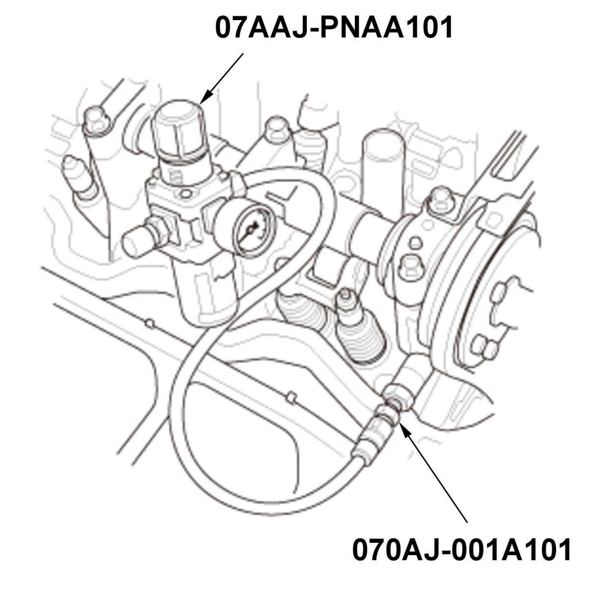 GHH560911